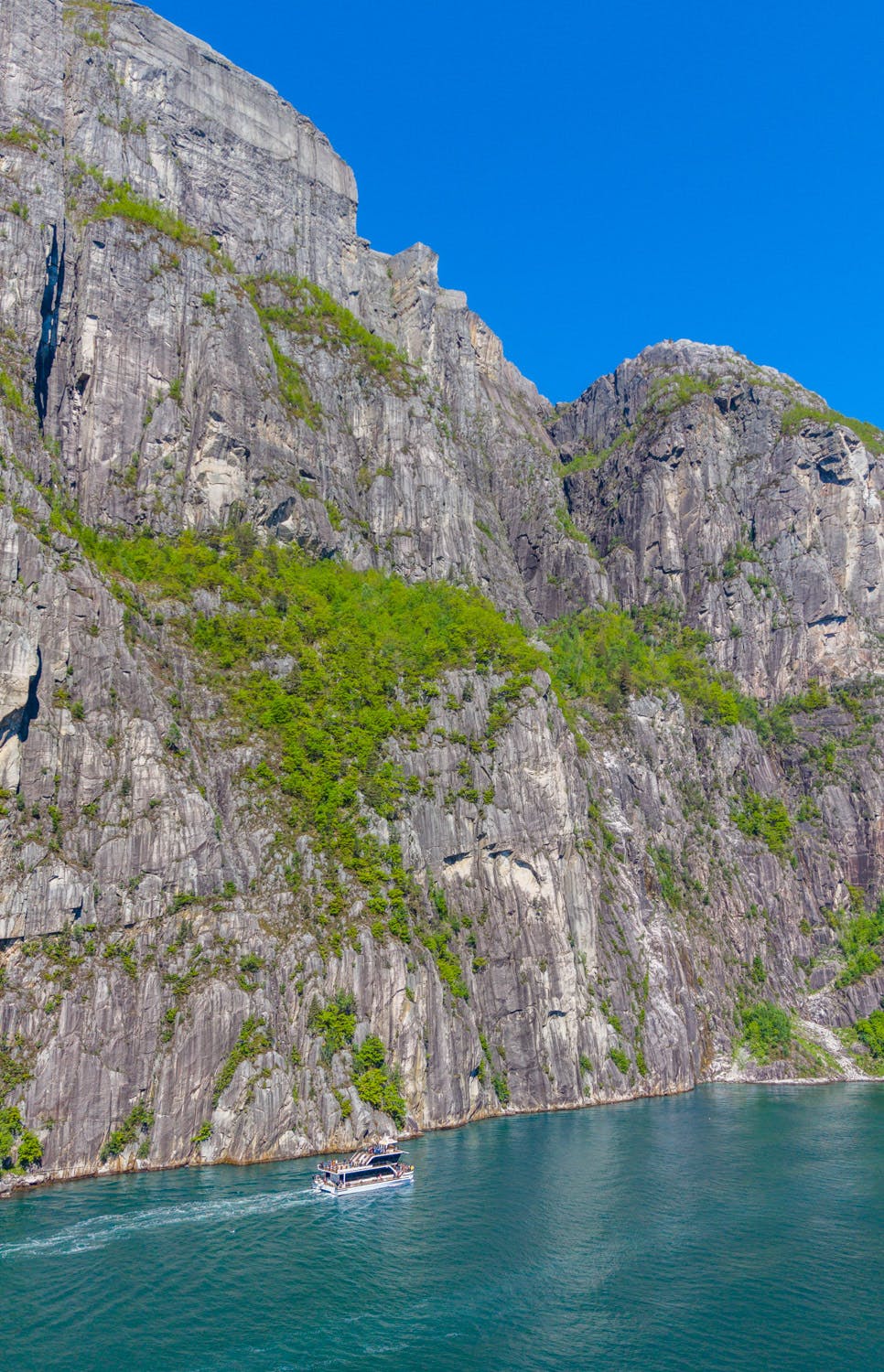 Silent Lysefjord & Pulpit rock cruise - Brim Explorer