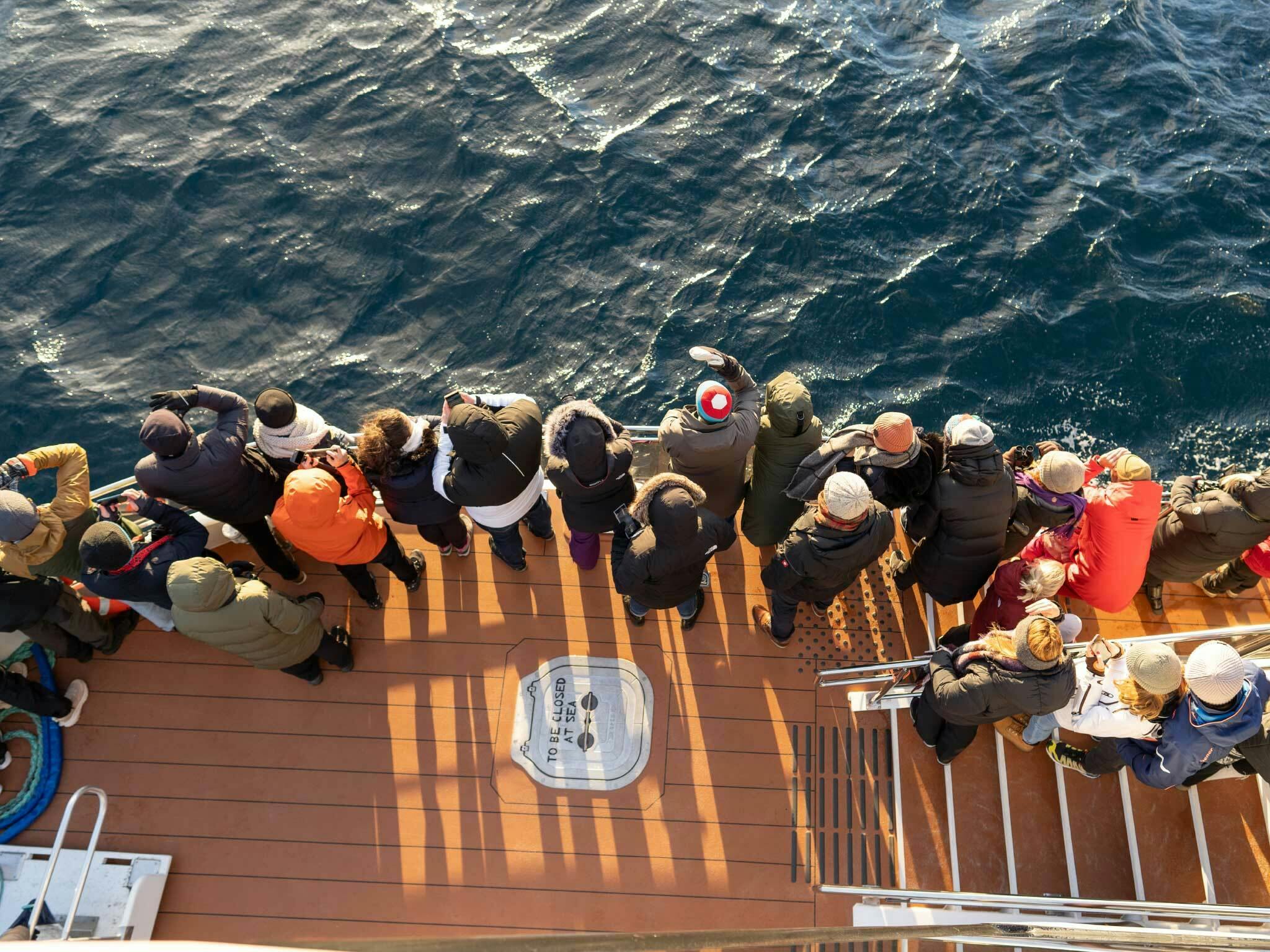 Brim Explorer SWW 14