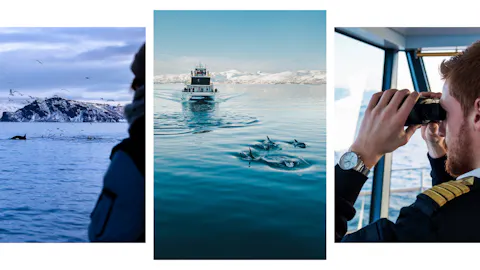 Whale-Watching-Tromsø