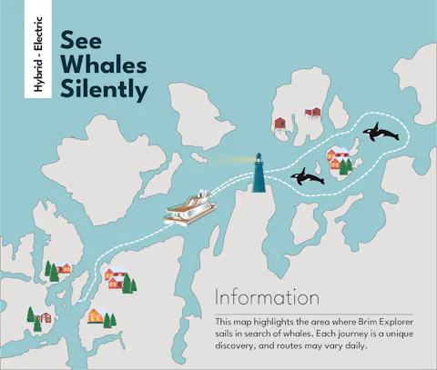 Whale Watching Map Flyer