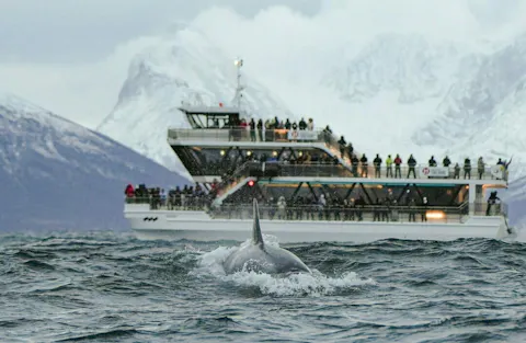 Boat crowd peaks 1x1